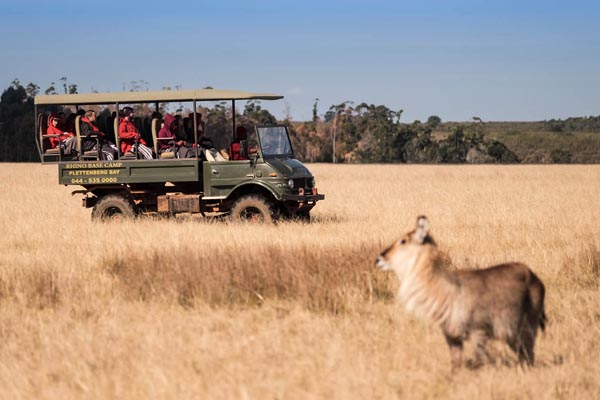 Plettenberg Bay Game Reserve