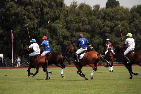 Polo Lessons